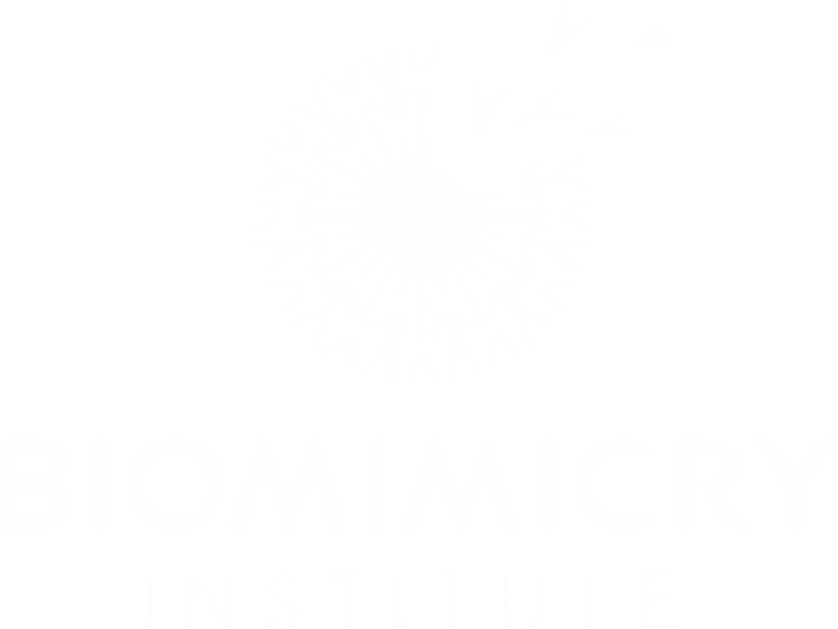 Biomimcry Institute